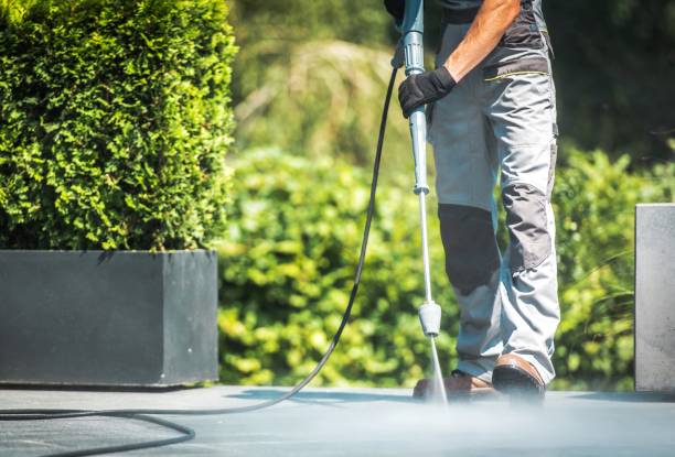 Best Gutter Cleaning  in Northwoods, MO